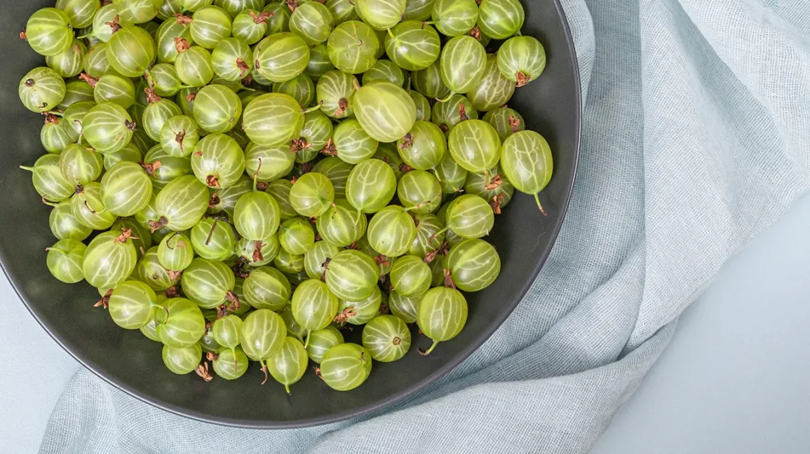 Amla Fruit Extract
